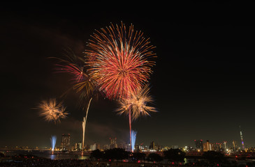 Fototapeta premium Fireworks