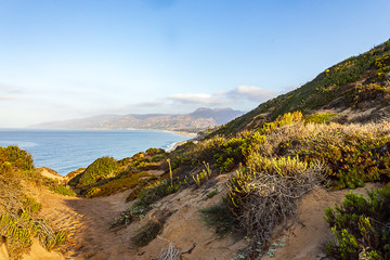 cliffedge sandy path lined with wild plants, western wallflower iceplant, with ocean shoreline view