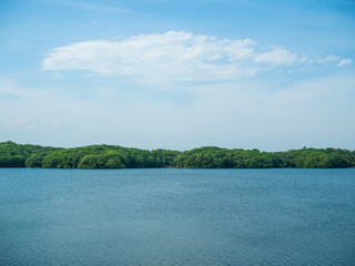 狭山湖と青空と雲