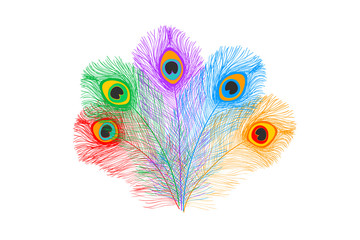 Obraz premium Peacock feathers, flat style. Straight and curved. Blue colored feathers of exotic birds