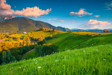 Fototapeta premium Summer rural landscape and wooden huts, near Bran, Transylvania, Romania