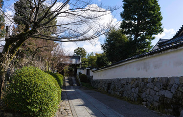 Japanese traditional earthen and landscape