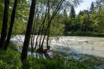 Hochwasser im Fluß mit Auald