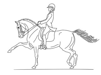 A young rider on a horse demonstrates a high trot