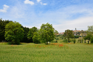Fototapeta premium View of the town of Sant'Angelo all'Esca in the Campaniaa region, Italy