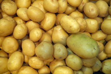 fresh washed new crop potatoes