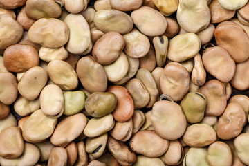 dry beans as background
