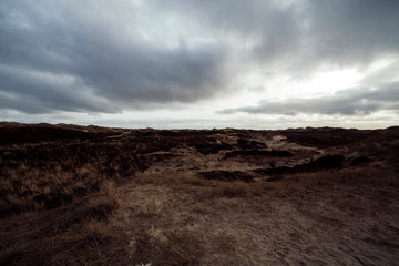 Dunes on the North Frisian Island Amrum in Germany