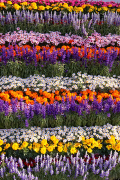 花壇 © Tozawa