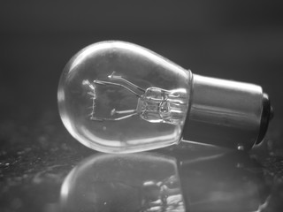 light bulb on black background