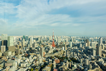 Fototapeta premium Aerial View Of Tokyo City Buildings Against Cloudy Sky