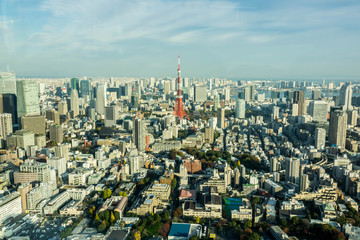 Obraz premium Aerial View Of Tokyo City Buildings Against Cloudy Sky
