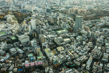 Fototapeta na wymiar Aerial View Of Tokyo City Buildings Against Cloudy Sky