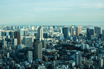 Obraz premium Aerial View Of Tokyo City Buildings Against Cloudy Sky