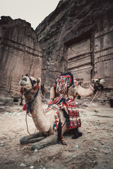 Camel and tourists in front of ancient temple in rock face in Al Khazneh, Petra, Jordan