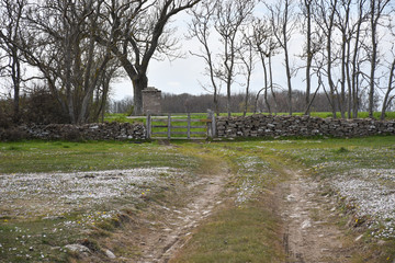 Old wooden gate by a dry stone wall in a grassland