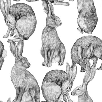 Beautiful vintage seamless pattern. Pencil drawing hares in various poses. Graphic drawing of rabbits on a white background. Realistic wild animals. Wallpaper bunny.