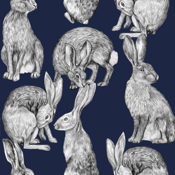 Beautiful vintage seamless pattern. Pencil drawing hares in various poses. Graphic drawing of rabbits on a dark blue background. Realistic wild animals. Wallpaper bunny.
