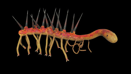 Hallucigenia, prehistoric aquatic animal from the Cambrian Period isolated on black background (3d science illustration)
