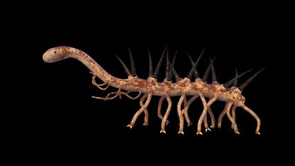 Hallucigenia, prehistoric aquatic animal from the Cambrian Period isolated on black background (3d science rendering)