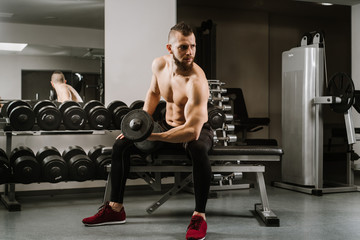 Strong man sitting and lifting dumbbells in the gym