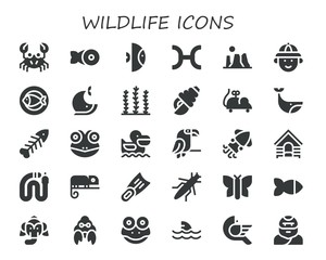 wildlife icon set
