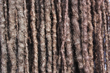 dreadlocks dreads background closeup full screen texture hair braid stock photo photograph image 