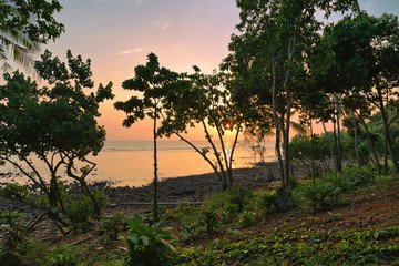 Obraz premium Gloomy tropical sunset