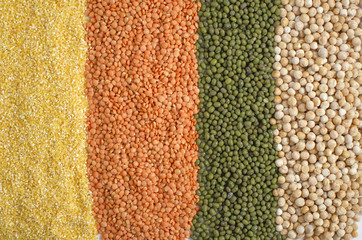 Lentils, peas, corn grits. Bright food  background.