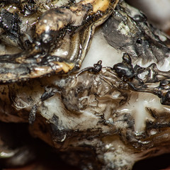 The texture of a piece of dirty burnt plastic