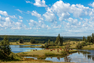 Seenlandschaft