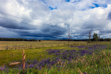 Wildes Land in British Columbia