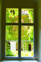 Bluck durch das Fenster