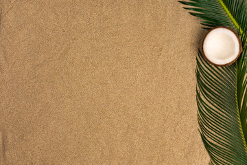 Fototapeta na wymiar Beach theme on sand background. Palm leaves and coconut on the sand. Top view.