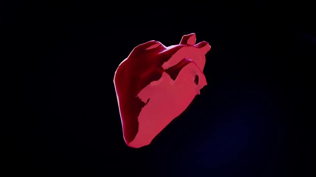 Realistic human heart, beating organ on different moving backgrounds, seamless loop. Animation. Red real shaped heart pulsating isolated on changing backgrounds.