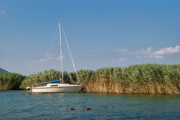 A white sailboat in a calm lake with two wild ducks floating in the lake. The sailboat is anchored...