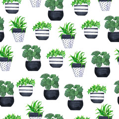Seamless pattern with plants in black and white pots on white background. Hand drawn watercolor illustration.