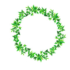 Fresh green leaves decorative frame isolated on white background. Hand drawn watercolor illustration.