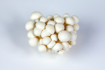 White brown shimeji mushroom on white background