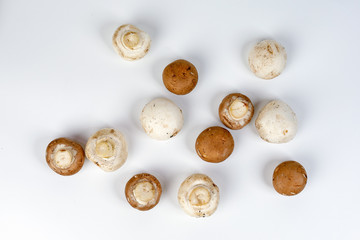 Mix white brown button mushroom top view on white background