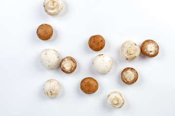 Mix white brown button mushroom top view on white background