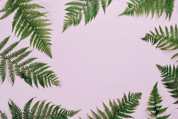 Summer composition. Tropical fern leaves on pastel pink background. Summer concept. Flat lay, top...