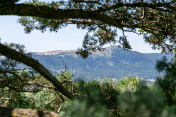view of the mountains and the valley through the tree branches