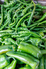 Green peppers at the farmer's market