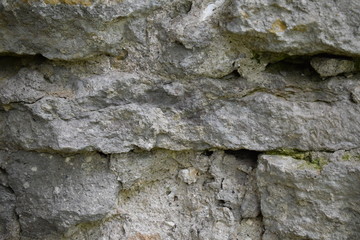 wall, plaster, surface, crack, brown, abstract, pattern, rough, old, surface, natural, textured, close-up, material, plant, dry, close-up, detail, macro, stone