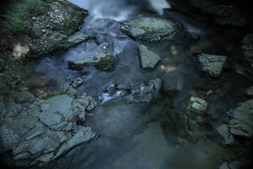 渓流の風景