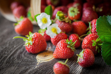 strawberry is scattered from a basket on a wooden background