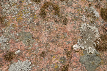 old wall texture