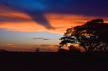 Atardecer en el llano