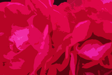 bright pink colorful rose illustration